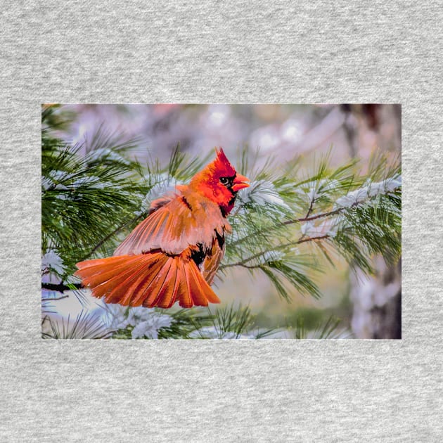 Christmas Cardinal by Tarrby